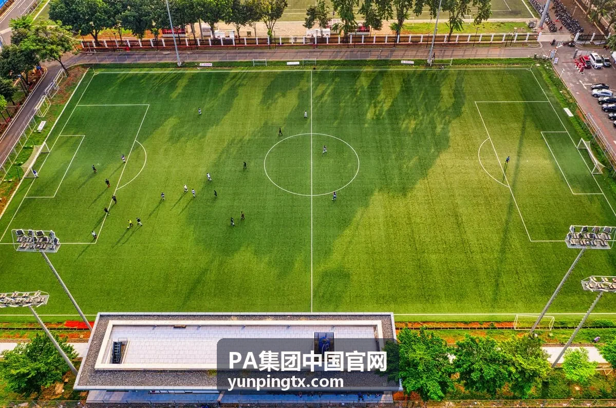 PA集团半导体解决方案
